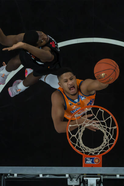 纷纷崭露头 纷纷崭露头